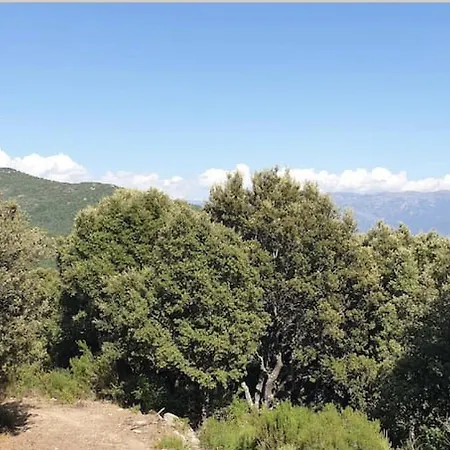 Luxury tent Sottu E Stelle