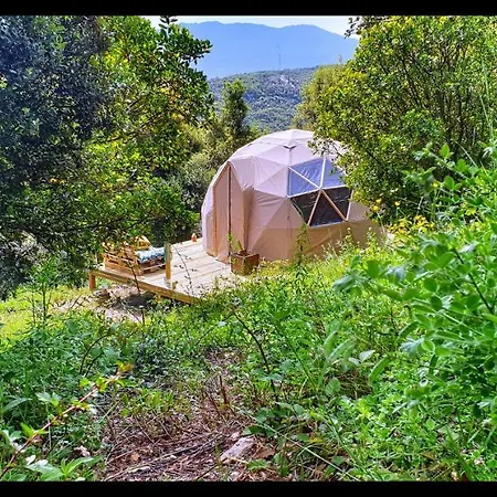 Sottu E Stelle Albitreccia