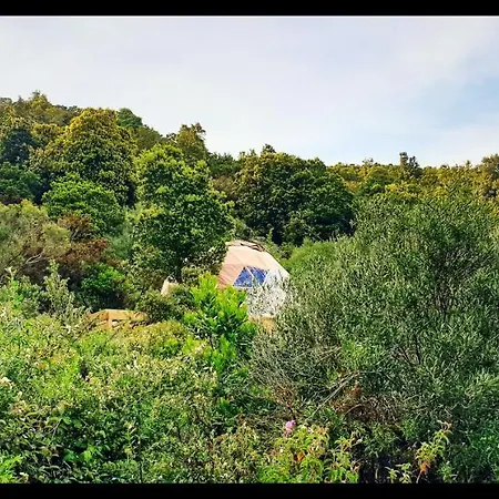 Sottu E Stelle Albitreccia