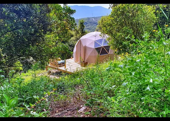 Sottu E Stelle Albitreccia