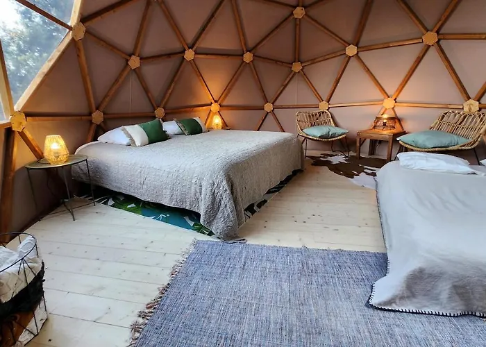 Sottu E Stelle Albitreccia